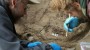 Kuzey Amerika’da Buz Devri’nde yaşamış iki bebeğin kalıntıları bulundu